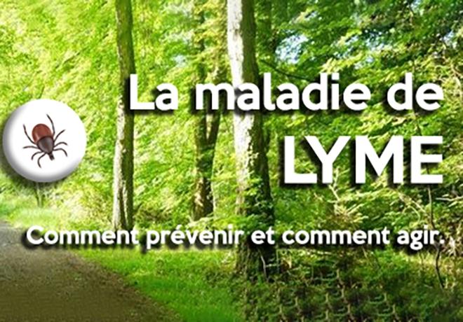 Article-Maladie-Lyme_660x460