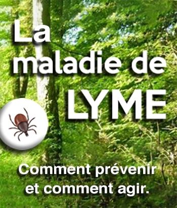 Article-Maladie-Lyme_350x410 copie